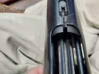 IMG_20251016_34579.jpg IMG_20251016_34579.jpg