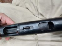 IMG_20251016_46195.jpg IMG_20251016_46195.jpg