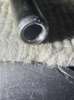 IMG_2858.jpeg