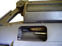 Downward feeding.jpg