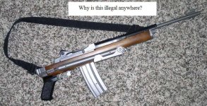 Mini-14 web.JPG