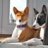 Basenji703