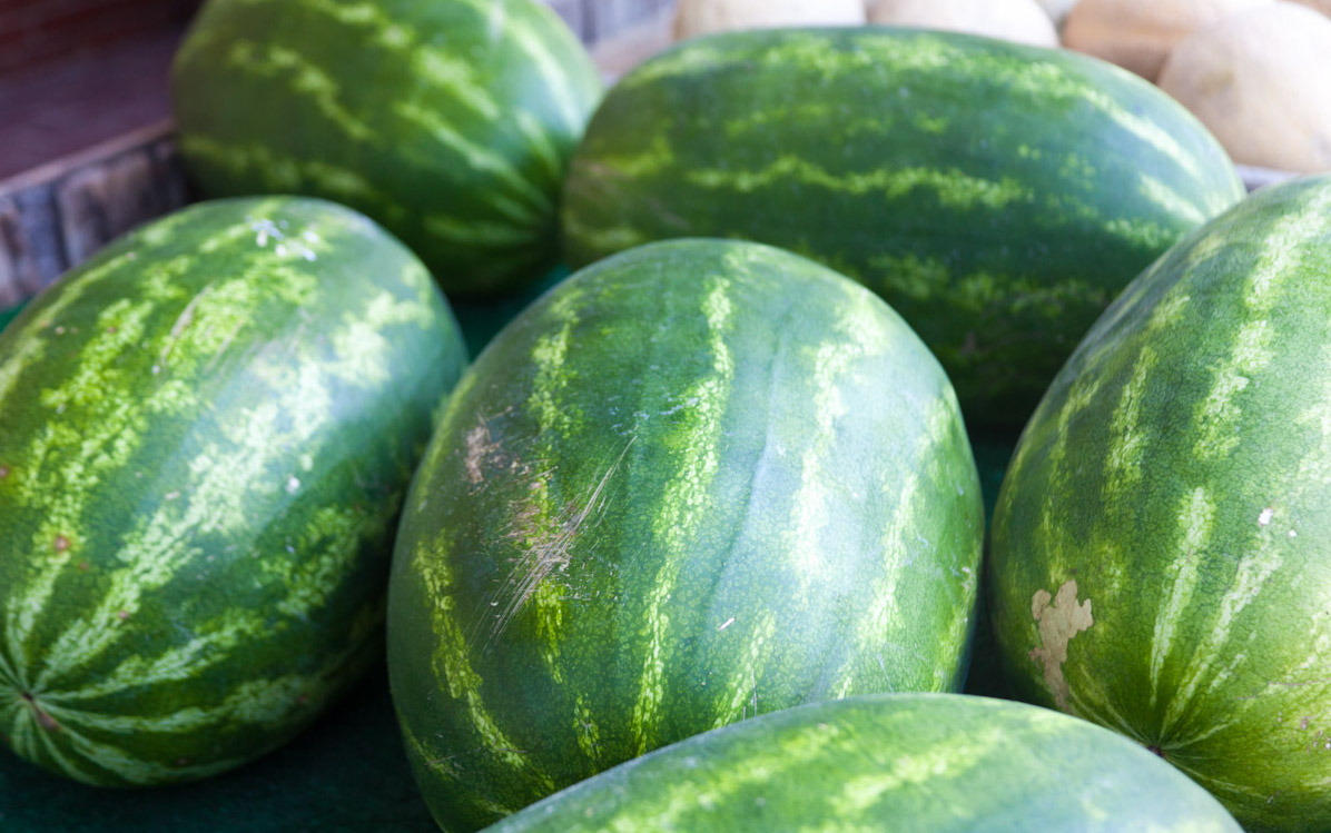 watermelons_001.jpg