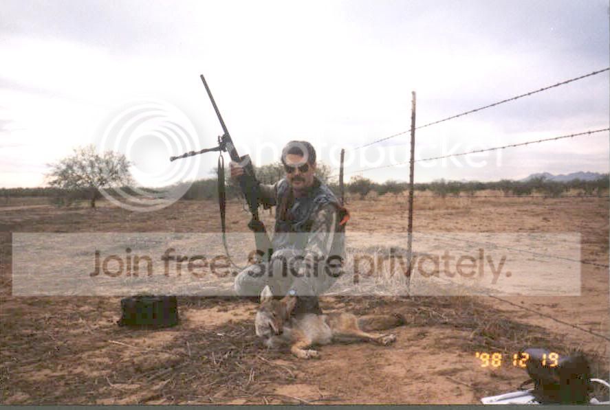 COYOTE1.jpg